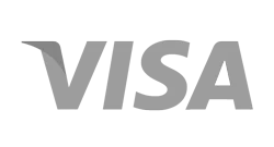 VISA Logo